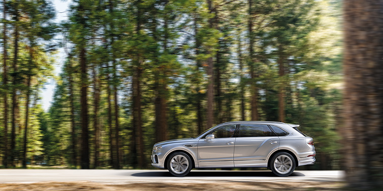 Bentley Riyadh Bentley Bentayga Extended Wheelbase SUV in Moonbeam paint driving dynamically on a forest road